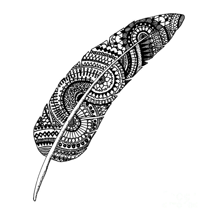 Feather Still Life Drawing - Feather Zentangle by One Mandala A Day