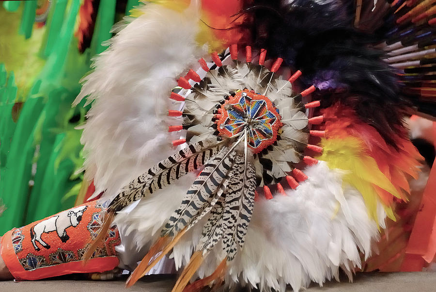 Feathers and Beads Photograph by Alan Toepfer