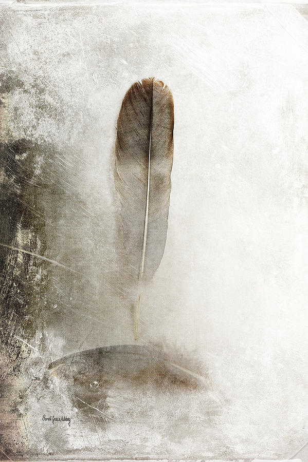 Feathers in Balance Photograph by Randi Grace Nilsberg