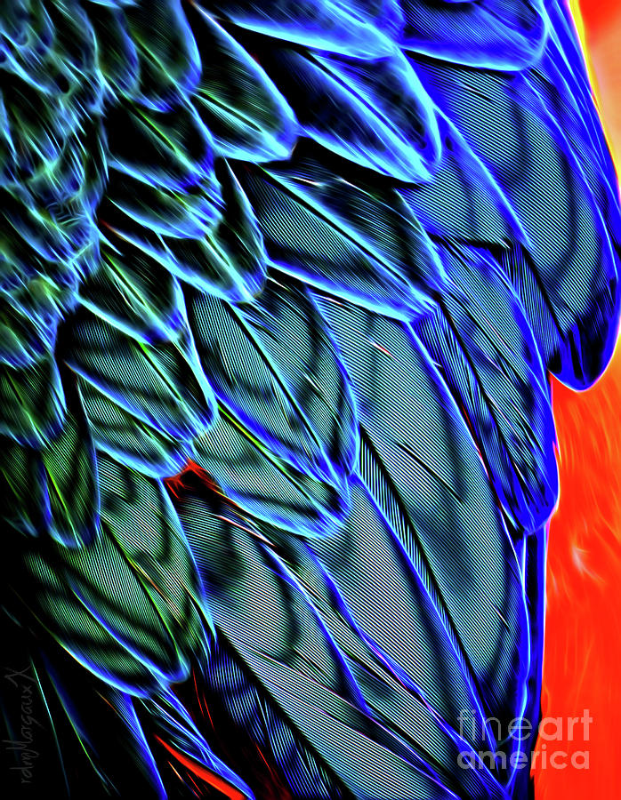Feathers Of Blue Photograph