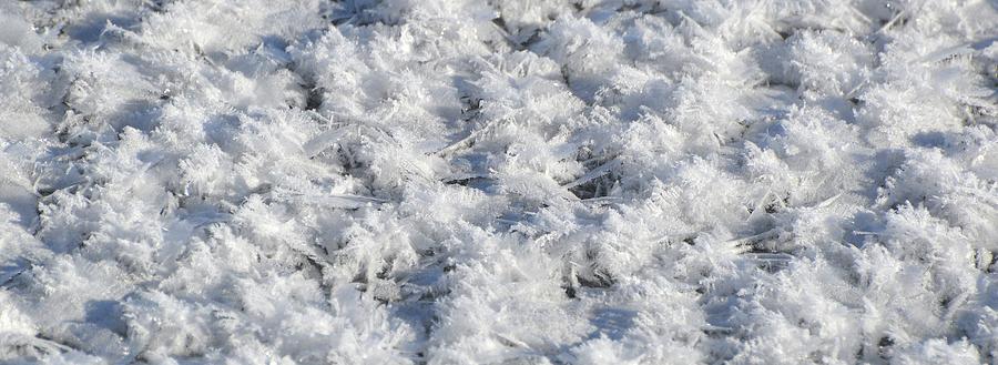 Feathers of Frost  Photograph by Lyle Crump
