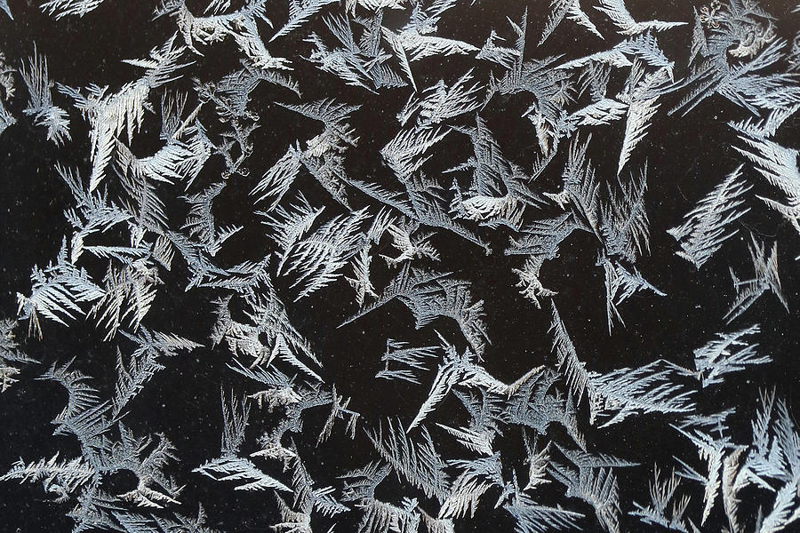 Feathery Frost Photograph by Doris Potter