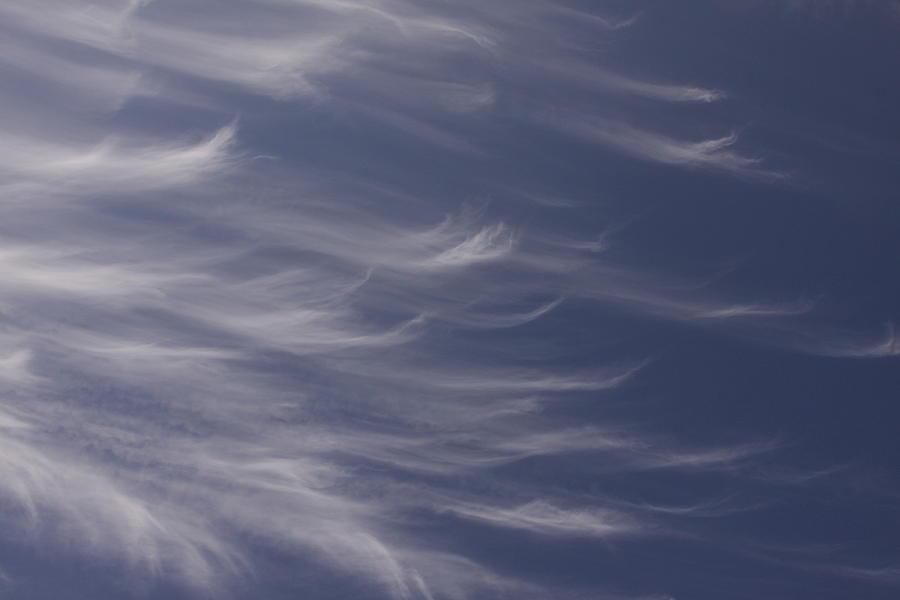 Feathery Sky Photograph by Shari Jardina