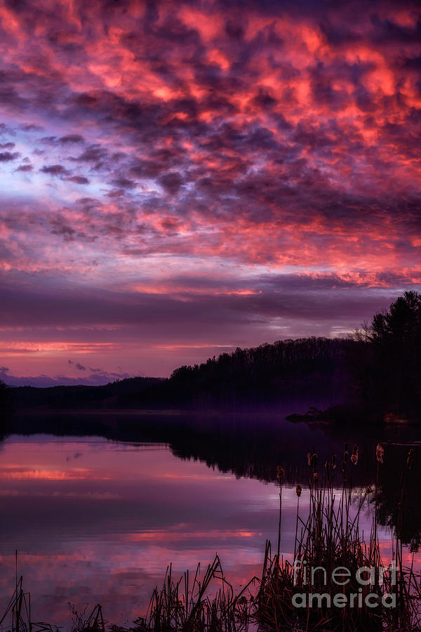 February Dawn on the Lake Photograph by Thomas R Fletcher