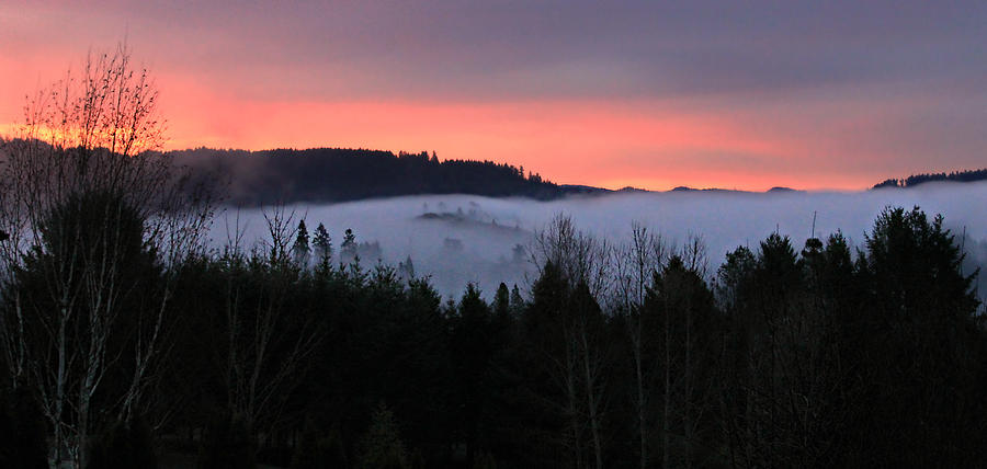 February Oregon Sunrise Photograph by KATIE Vigil