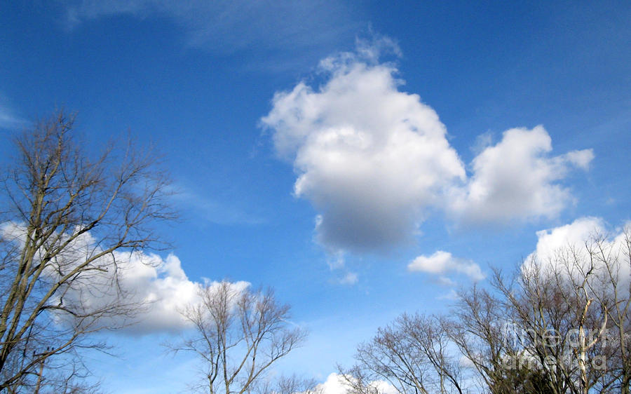 February Sky in Michigan Photograph by Sandra Church