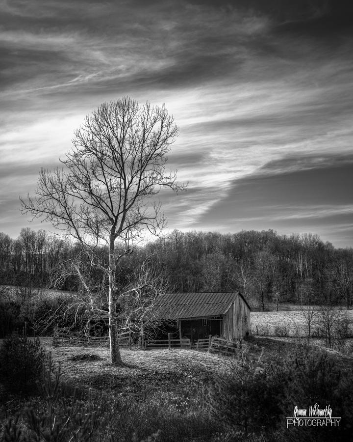 February Sky by Roman Wilshanetsky February Sky by Roman Wilshanetsky