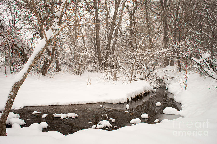 Winter Photograph - February Snow by Kimberly Noxon