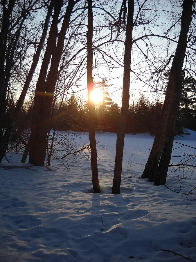 February Sunrise alongside a Tree Photograph by Kent Lorentzen