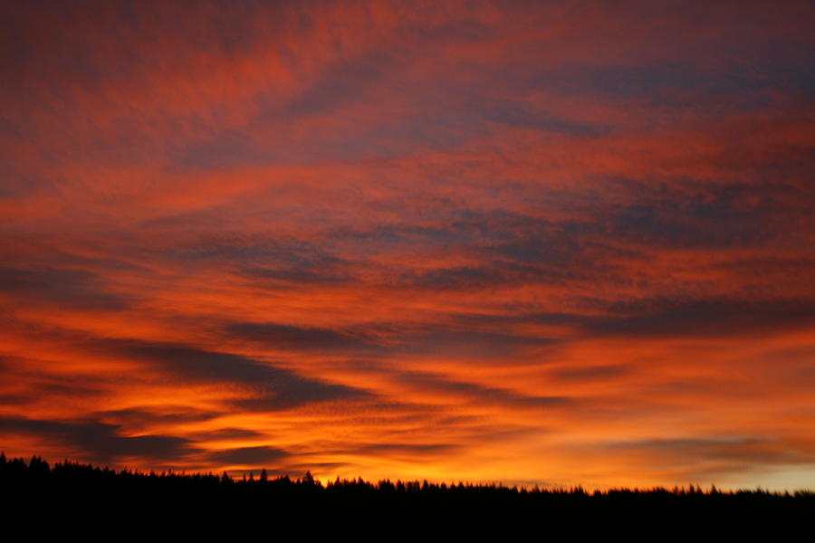 February Sunrise on the Ridge Photograph by Suzanne Lorenz