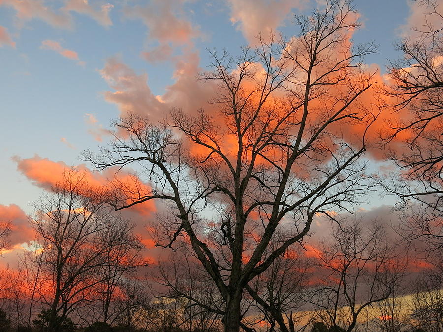 February Sunset Photograph by Betty Buller Whitehead