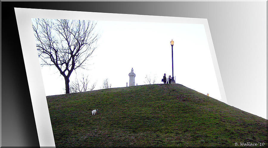 Federal Hill Dog Photograph by Brian Wallace