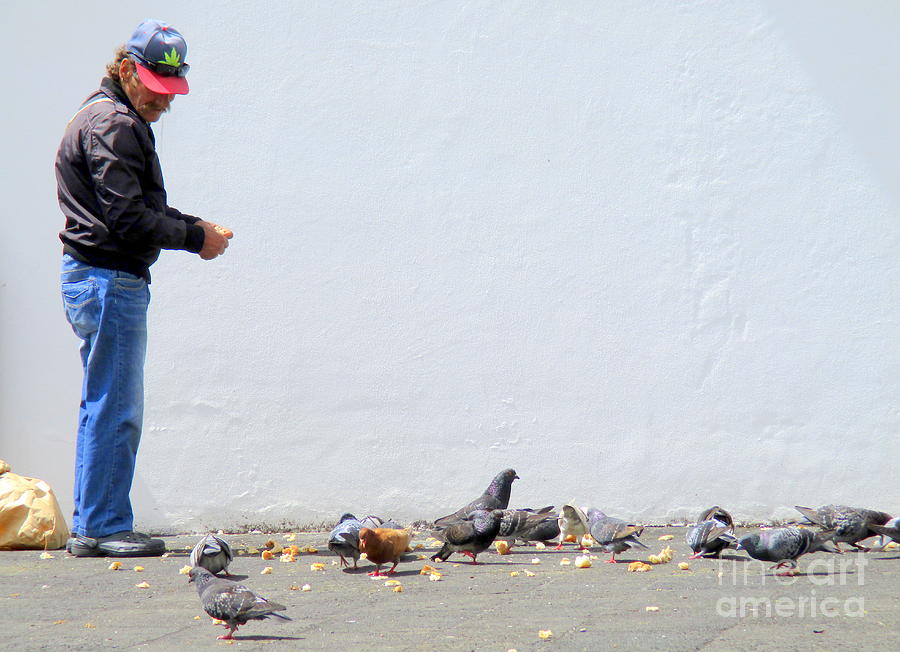 Feed The Birds Photograph by Randall Weidner