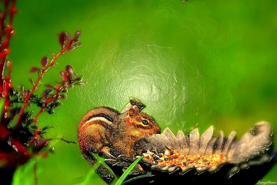 Feed The Chipmunk Photograph by Larry Moore - Fine Art America