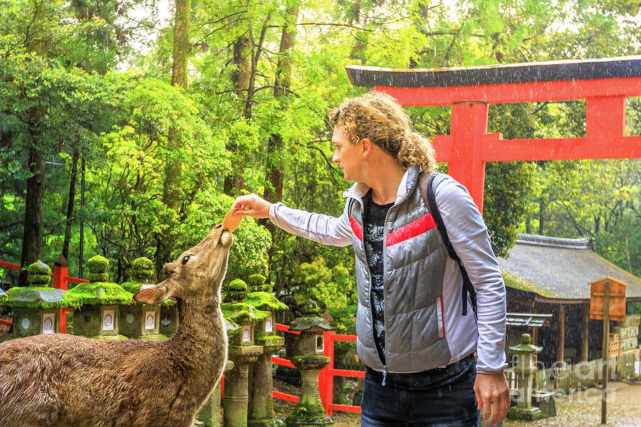 Feeding a Nara deer Photograph by Benny Marty