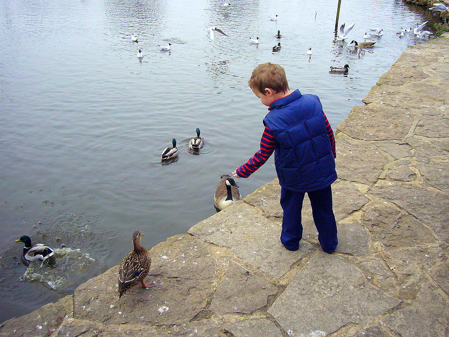 Feeding the Ducks Photograph by Gordon James