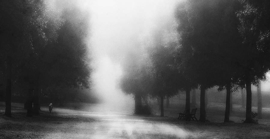 Black And White Photograph - Feel Secure by Fulvio Pellegrini