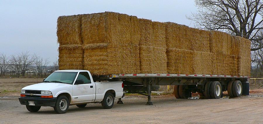 Feeling A Little Overloaded Photograph by Buck Buchanan - Fine Art