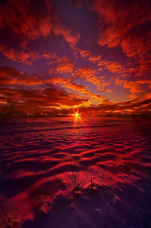 Winter Photograph - Feeling Good Never Cost A Thing by Phil Koch