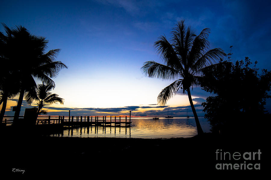 Feeling the Tropical Love Photograph by Rene Triay FineArt Photos