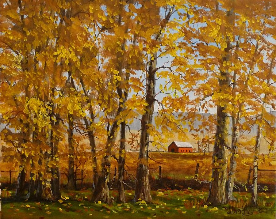 Feels Like Fall by Judy Bradley Feels Like Fall by Judy Bradley