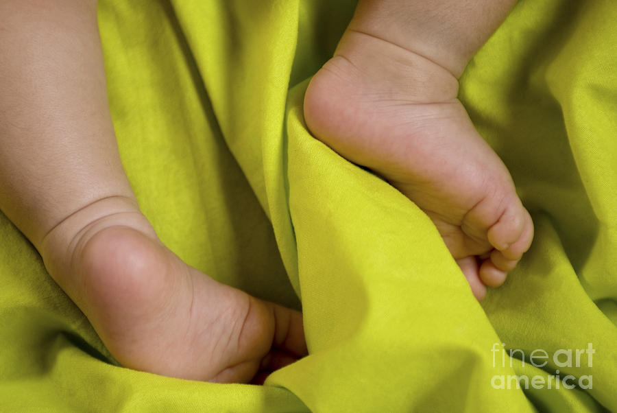 Feet of a newborn baby  Photograph by Shahar Tamir