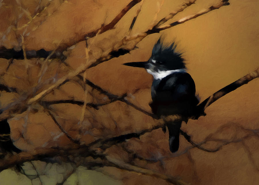 Female Belted Kingfisher 2 Digital Art by Ernest Echols