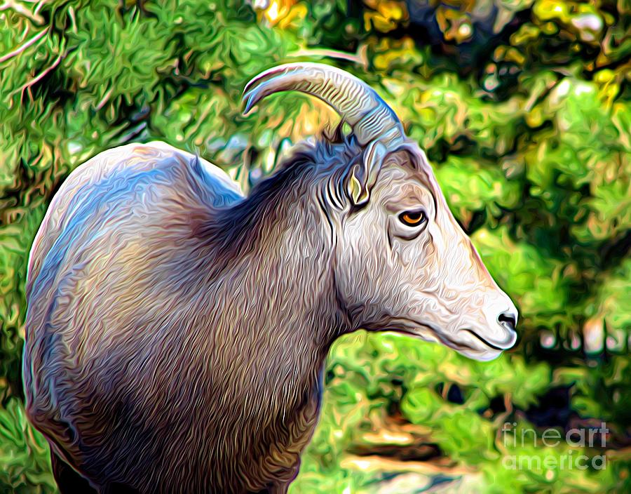 Female Bighorn Sheep Expressionist Effect Photograph by Rose Santuci-Sofranko