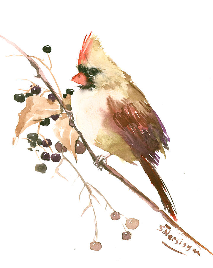 Female Cardinal Bird Painting by Suren Nersisyan