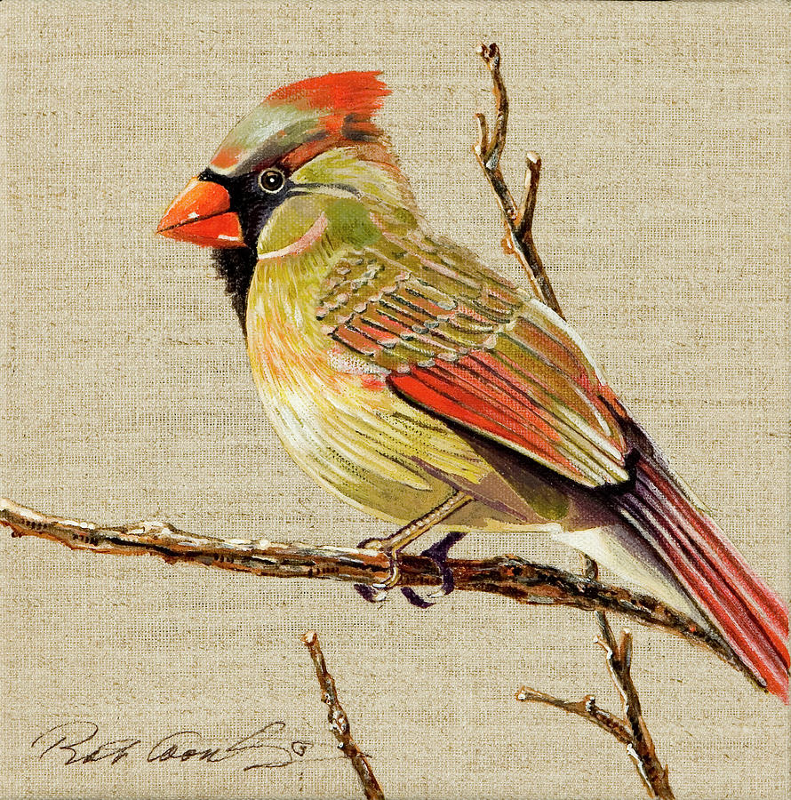 Female Cardinal Painting by Bob Coonts