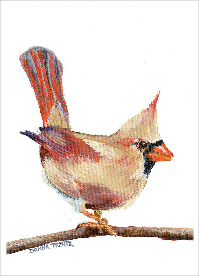 Female Cardinal Painting by Donna Tucker