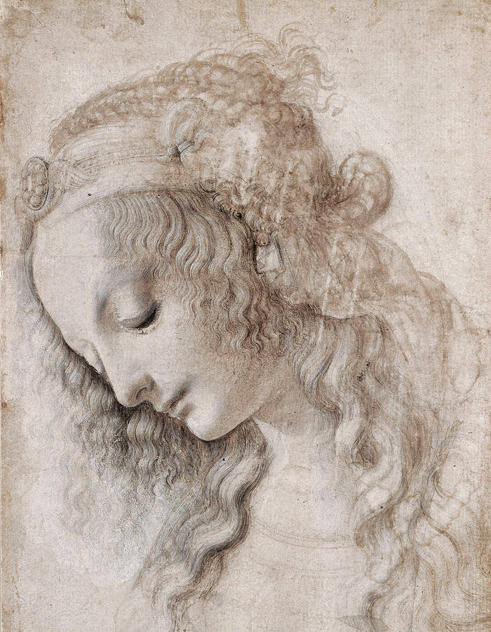 Female head with look down Drawing by Leonardo Da Vinci