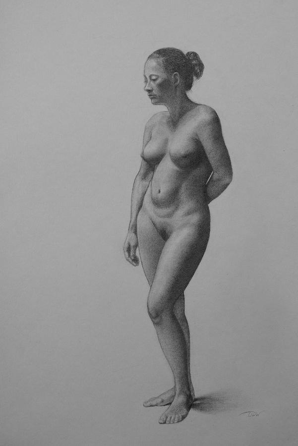 Nude Female Figure Drawingexcellent Porno