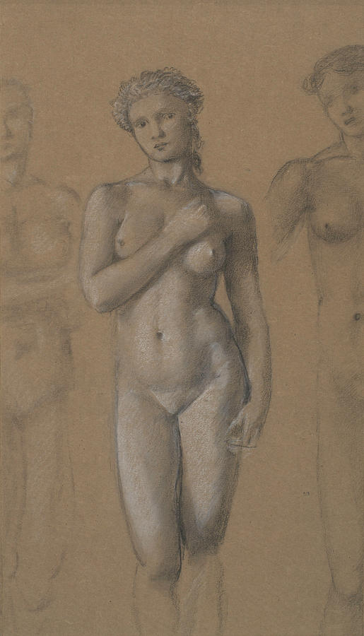 Female Nude Drawing by Edward Burne-Jones