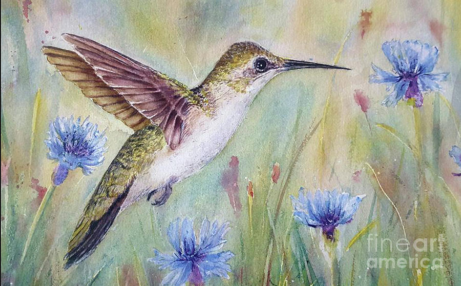 Hummingbird Painting - Female Ruby Throated Hummingbird by Patricia Pushaw