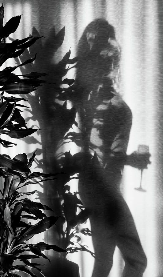Feminine Shadows Photograph by Karen Wiles