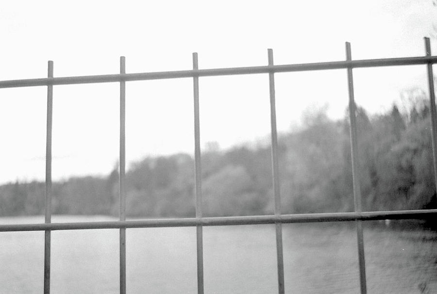 Fence Photograph - Fence against Nature by Nacho Vega Fence Photograph - Fence against Nature by Nacho Vega