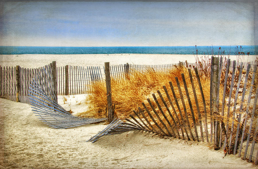 Fence along the Dunes Photograph by Carolyn Derstine