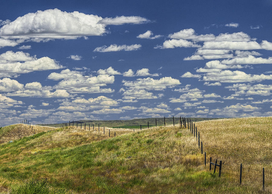 Fence Along The Rolling Hills By The Roadway Photograph