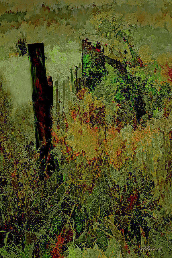 Fence and Field Impression 2 Photograph by Frank Maxwell Fine Art America