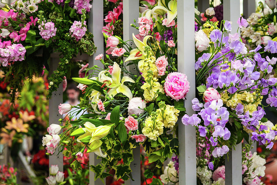 Flowers Still Life Photograph - Fence and Flowers by Ross Henton