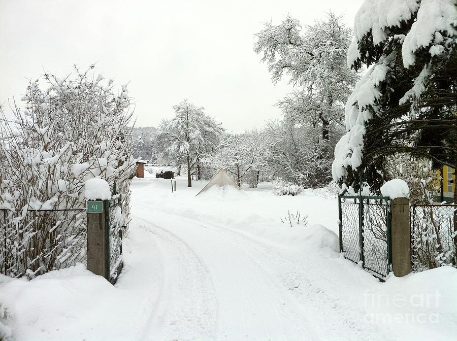 Fence and  gate in winter Photograph by Wilhelm Hufnagl