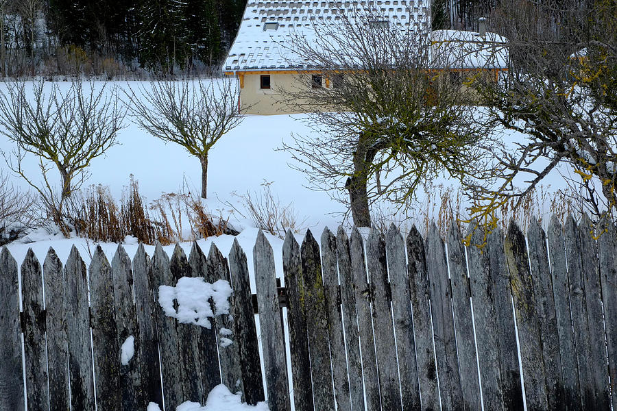 Fence and House by August Timmermans Fence and House by August Timmermans