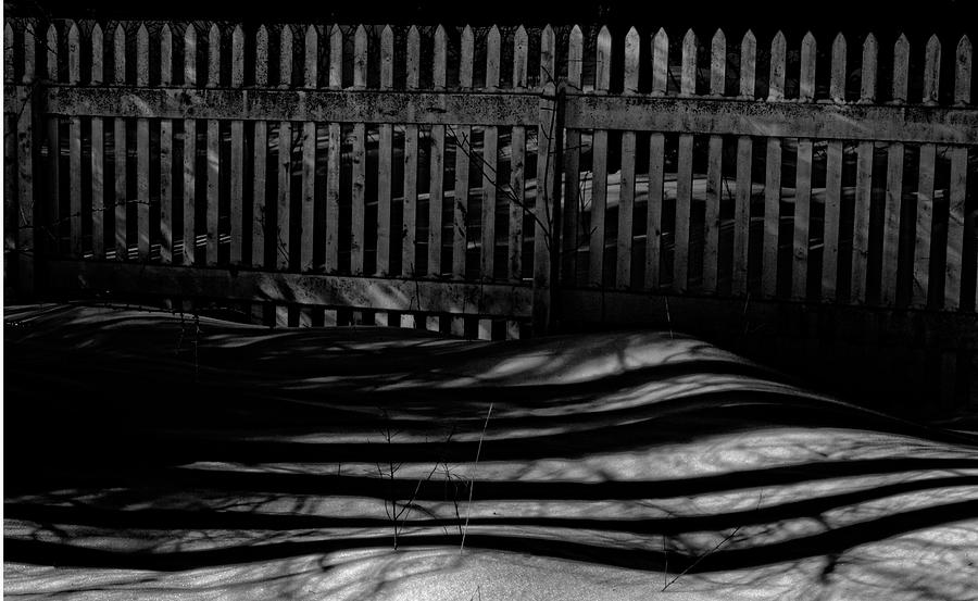 Fence and Midnight Shadows Photograph by Irwin Barrett