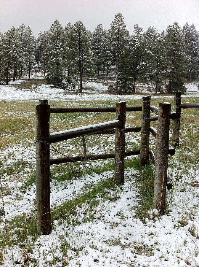 Fence And Snow Photograph