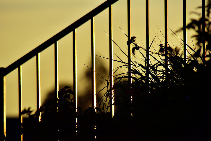 Fence at Sunset I Photograph by Linda Brody
