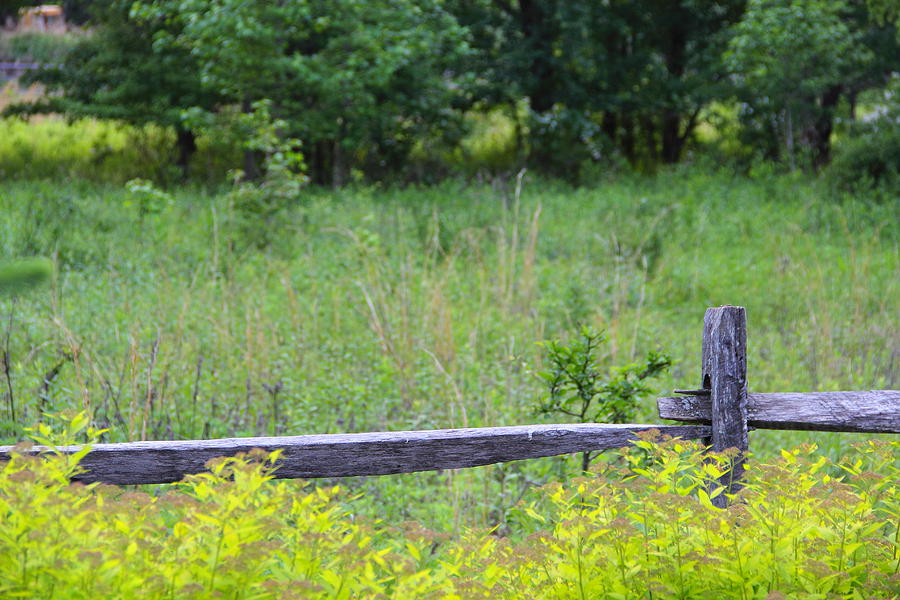 Summer Photograph - Meadow Fence by Brian Manfra