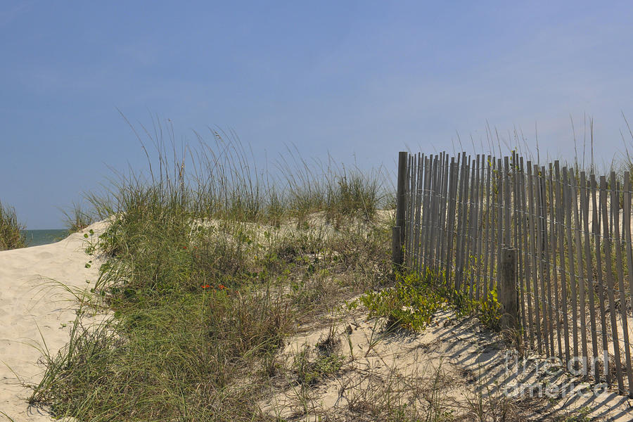 Fence By The Sea Photograph