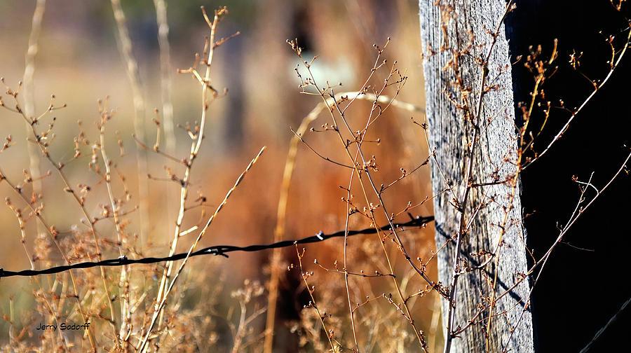 Fence Corner Post And Wire 30145 Photograph