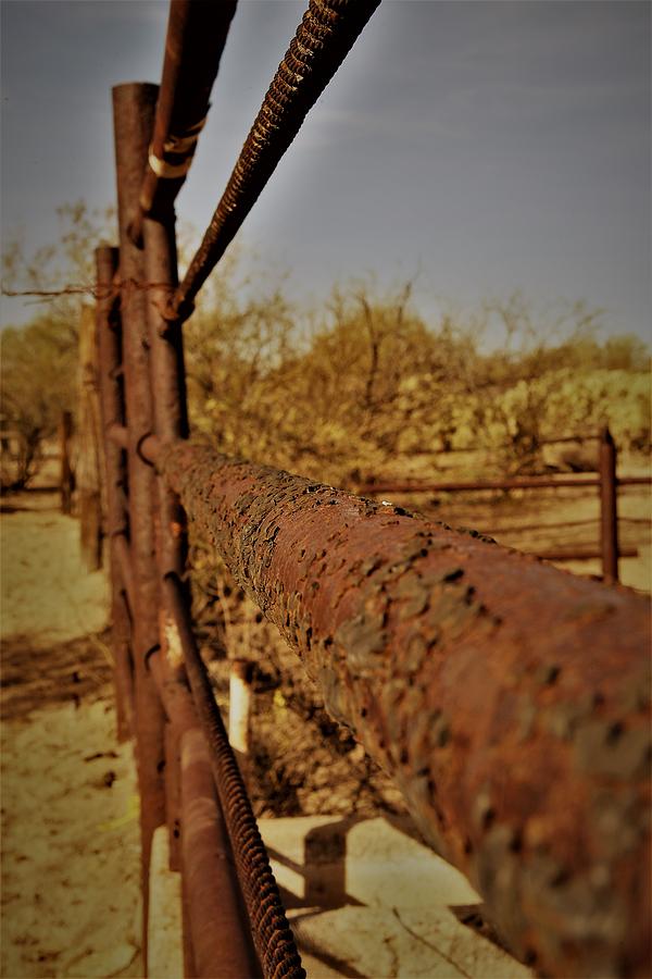 Fence Decay Photograph by David S Reynolds